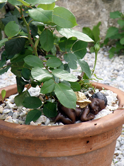 Engelgarten im Eselpark Maltatal - K&auml;rnten 