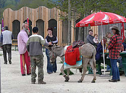 Eselpark - Familie Gollenz / Maltatal