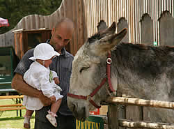 Tiere im Eselpark Maltatal