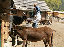 Tierhaltung im Eselpark