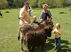 Tierhaltung im Eselpark