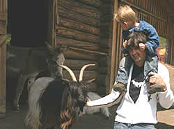Tiere im Eselpark Maltatal