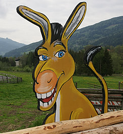 Eselpark Maltatal