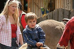 Kinder Im Eselpark / Maltatal