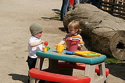 Kinder Im Eselpark / Maltatal